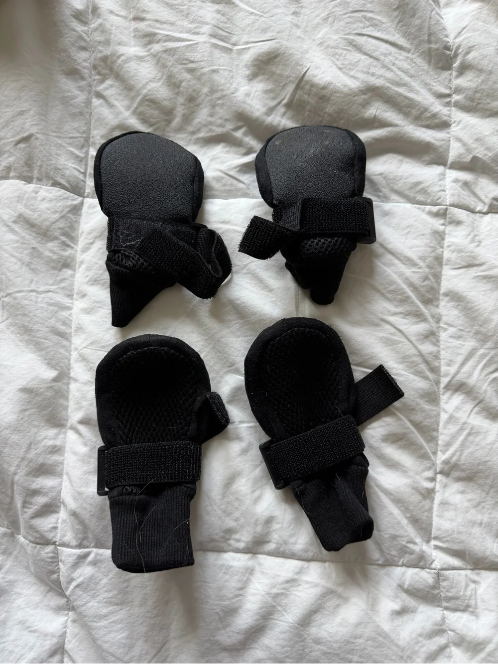 Black Dog Booties